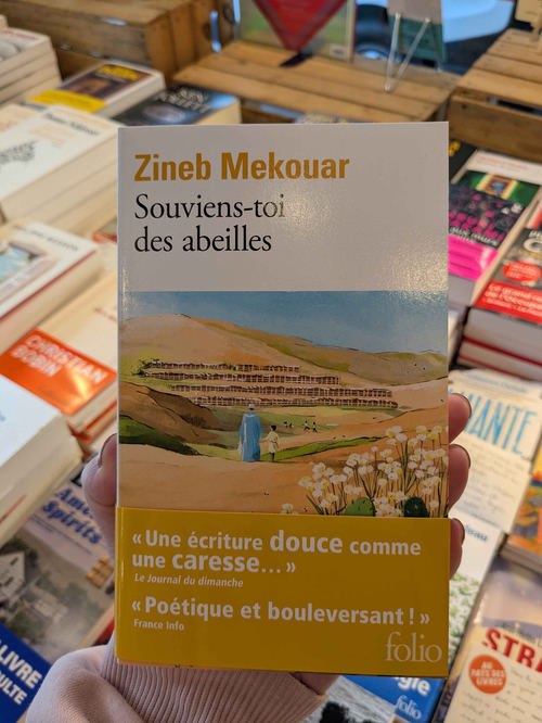 Souviens-toi des abeilles de Zineb Mekouar
